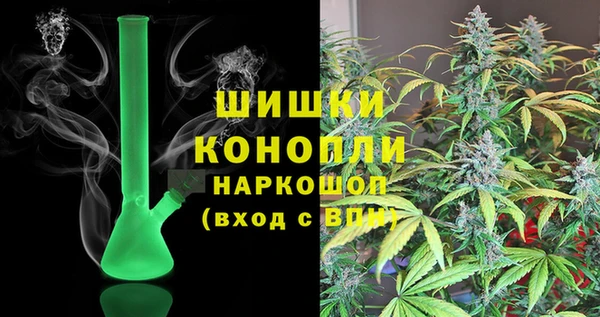 гидра Вяземский
