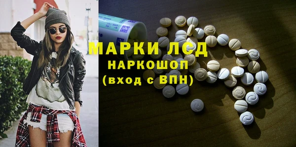 гидра Вяземский