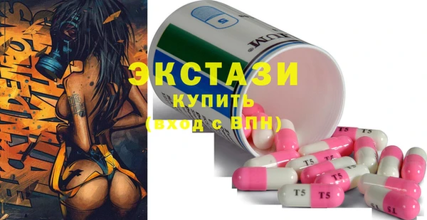 индика Бугульма