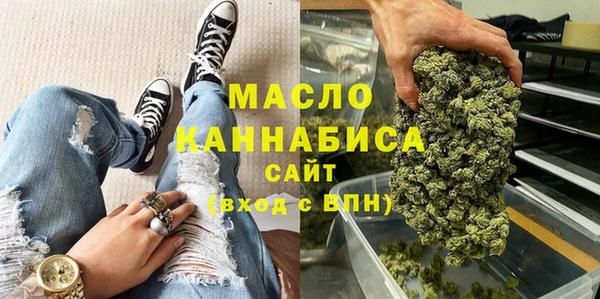 гидра Вяземский