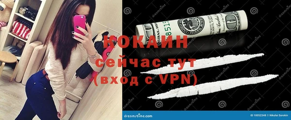 гидра Вяземский