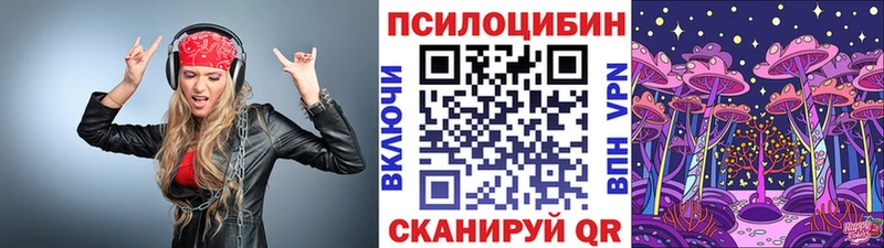 Псилоцибиновые грибы MAGIC MUSHROOMS  маркетплейс наркотические препараты  Дубовка 